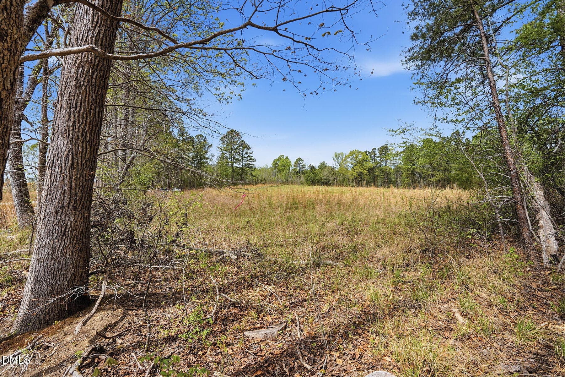12-web-or-mls-6134 Bob Daniel rd-59 - 6134 Bob Daniel Road, Oxford, NC 27565