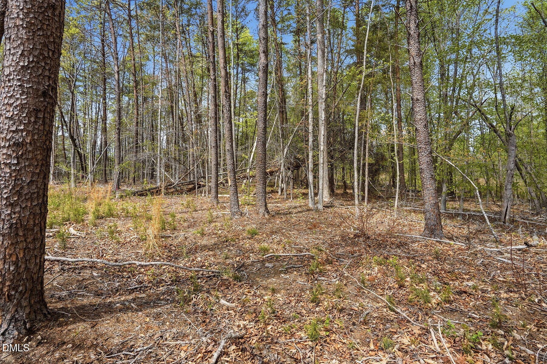 13-web-or-mls-6134 Bob Daniel rd-64 - 6134 Bob Daniel Road, Oxford, NC 27565