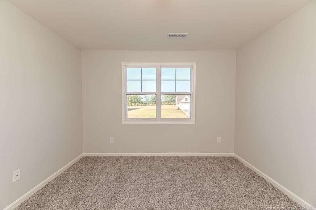 Photo 30 - 30 Blackgum Court, Spring Lake, NC 28390