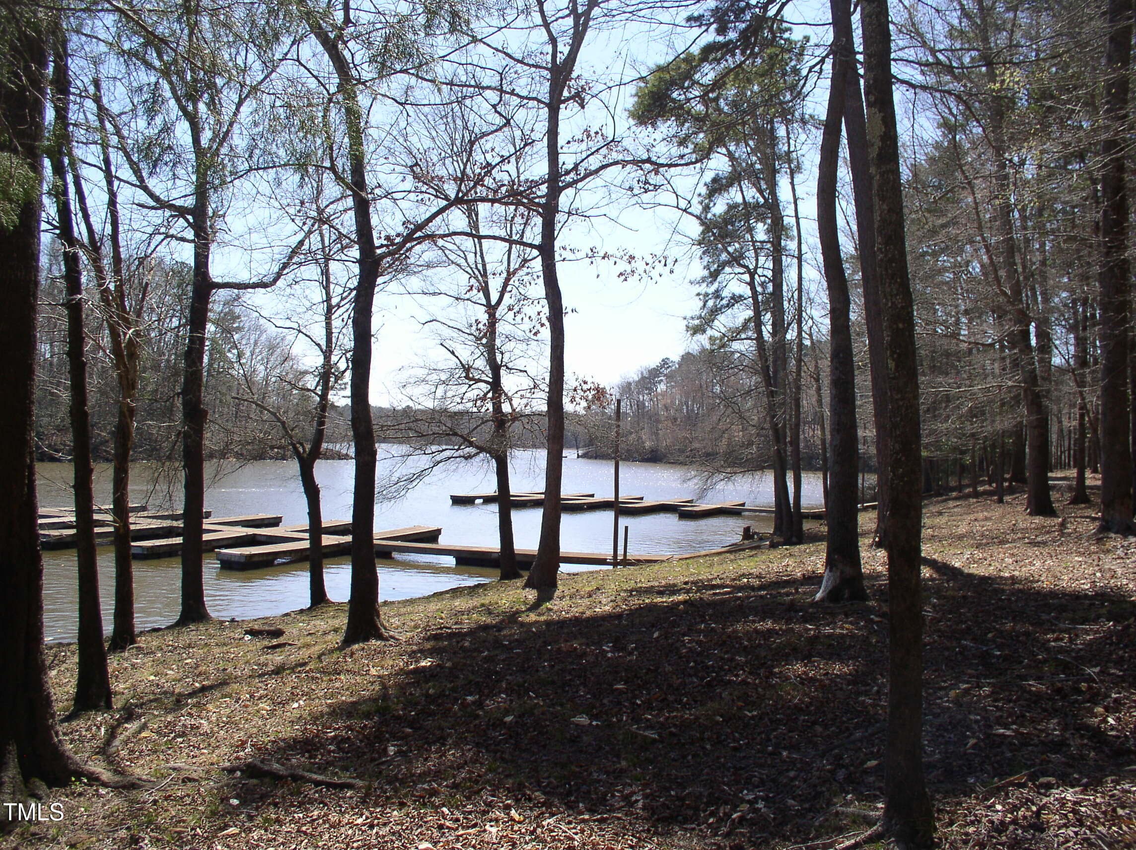 P1010016 - 3003 Jonathans Landing, Bullock, NC 27507