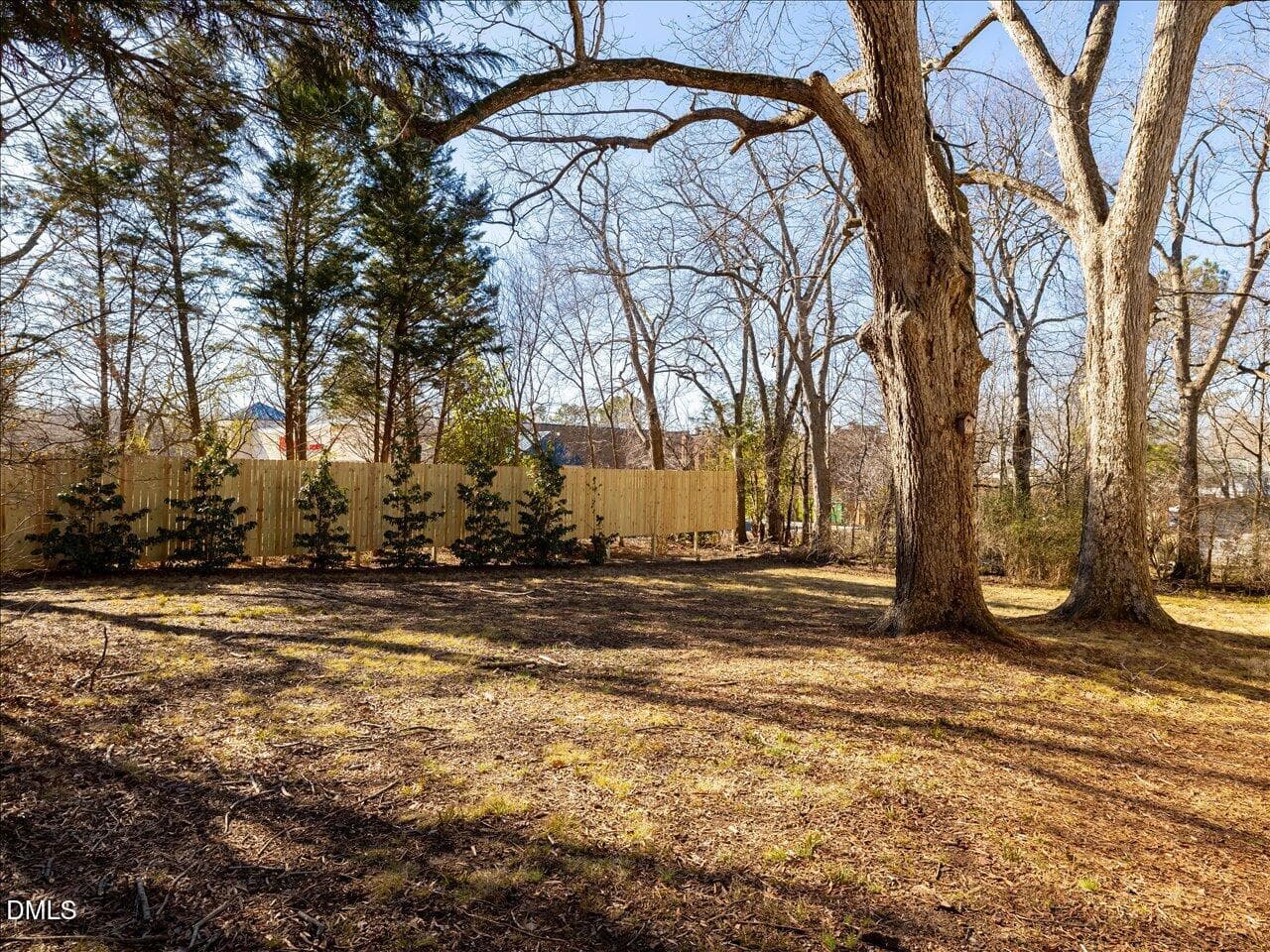 079-Backyard - 298 E Salisbury Street, Pittsboro, NC 27312, Pittsboro