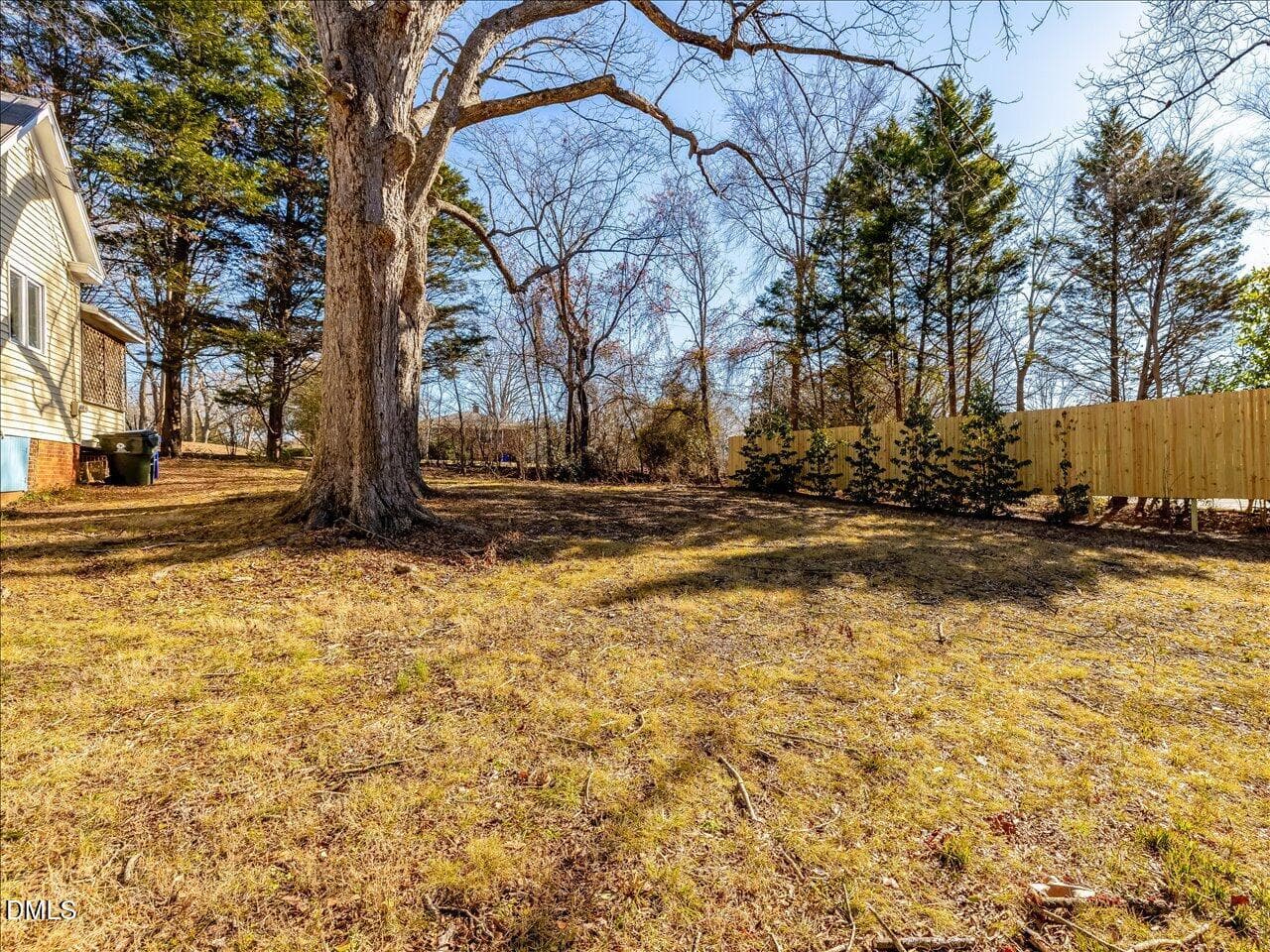 081-Backyard - 298 E Salisbury Street, Pittsboro, NC 27312, Pittsboro