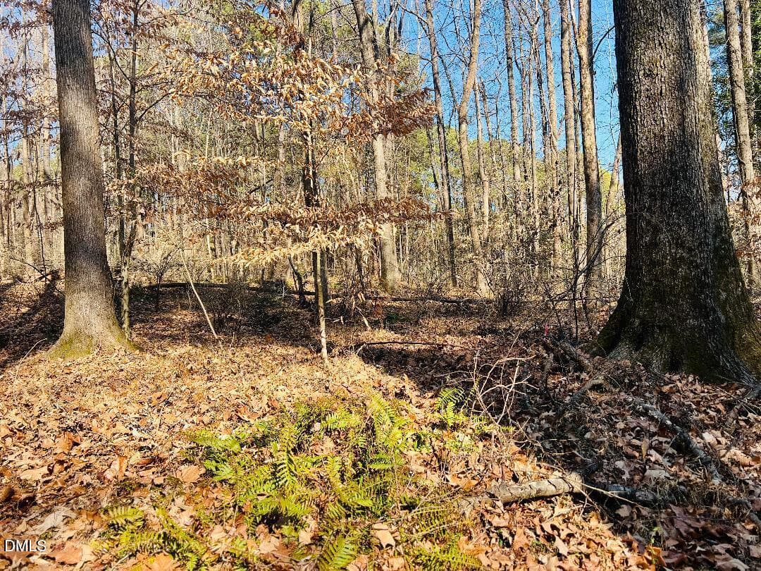 thumbnail-41 - 1000 Cross Link Road, Raleigh, NC 27610