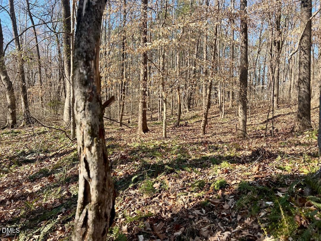 thumbnail-44 - 1000 Cross Link Road, Raleigh, NC 27610