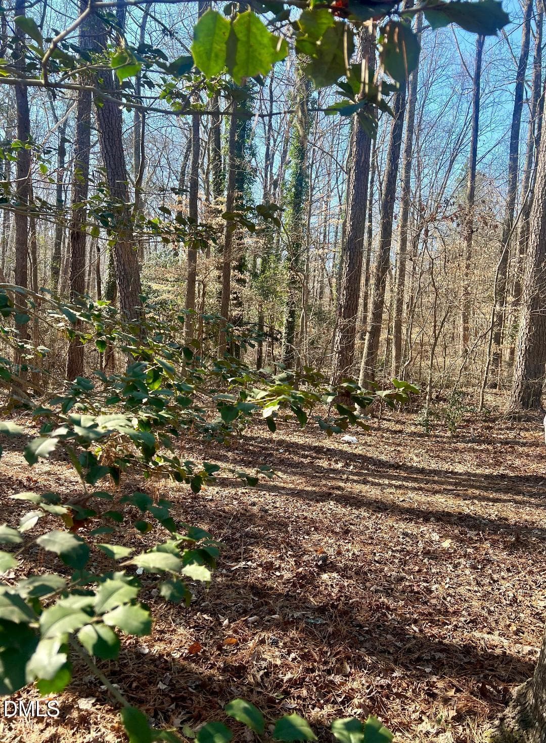 thumbnail-54 - 1000 Cross Link Road, Raleigh, NC 27610