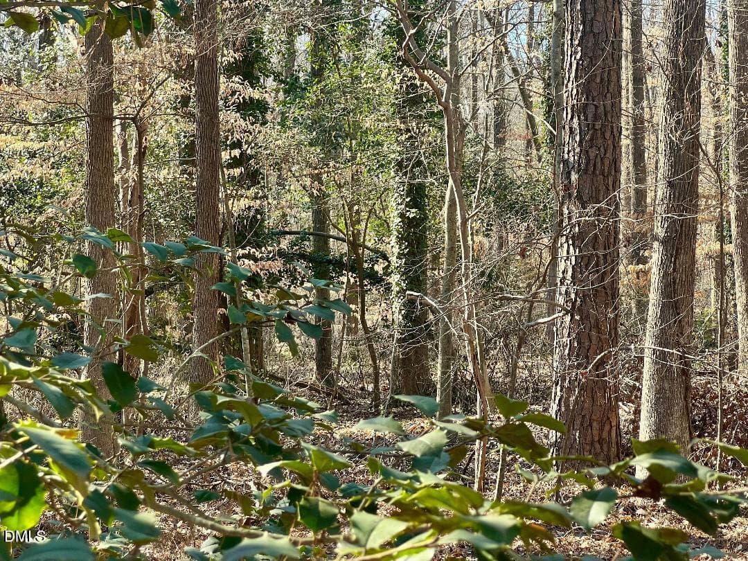 thumbnail-55 - 1000 Cross Link Road, Raleigh, NC 27610