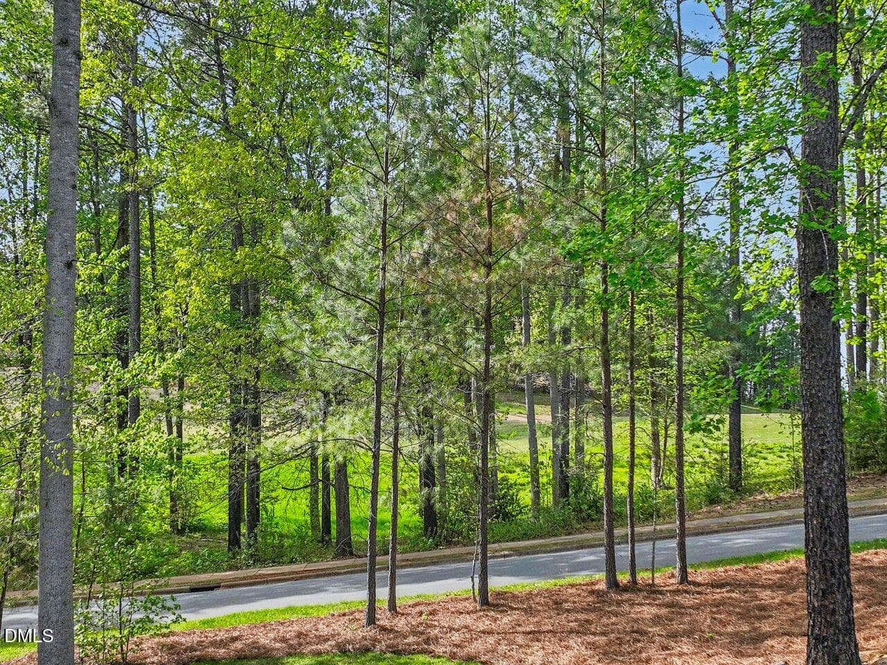 Across from Golf Course 3 - 36 Nuthatch Drive, Pittsboro, NC 27312