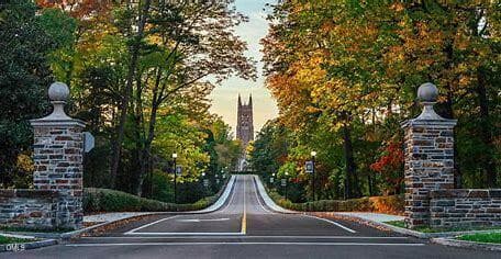 11. Duke University - 2063 Trident Maple Lane, Chapel Hill, NC 27517, Chapel Hill
