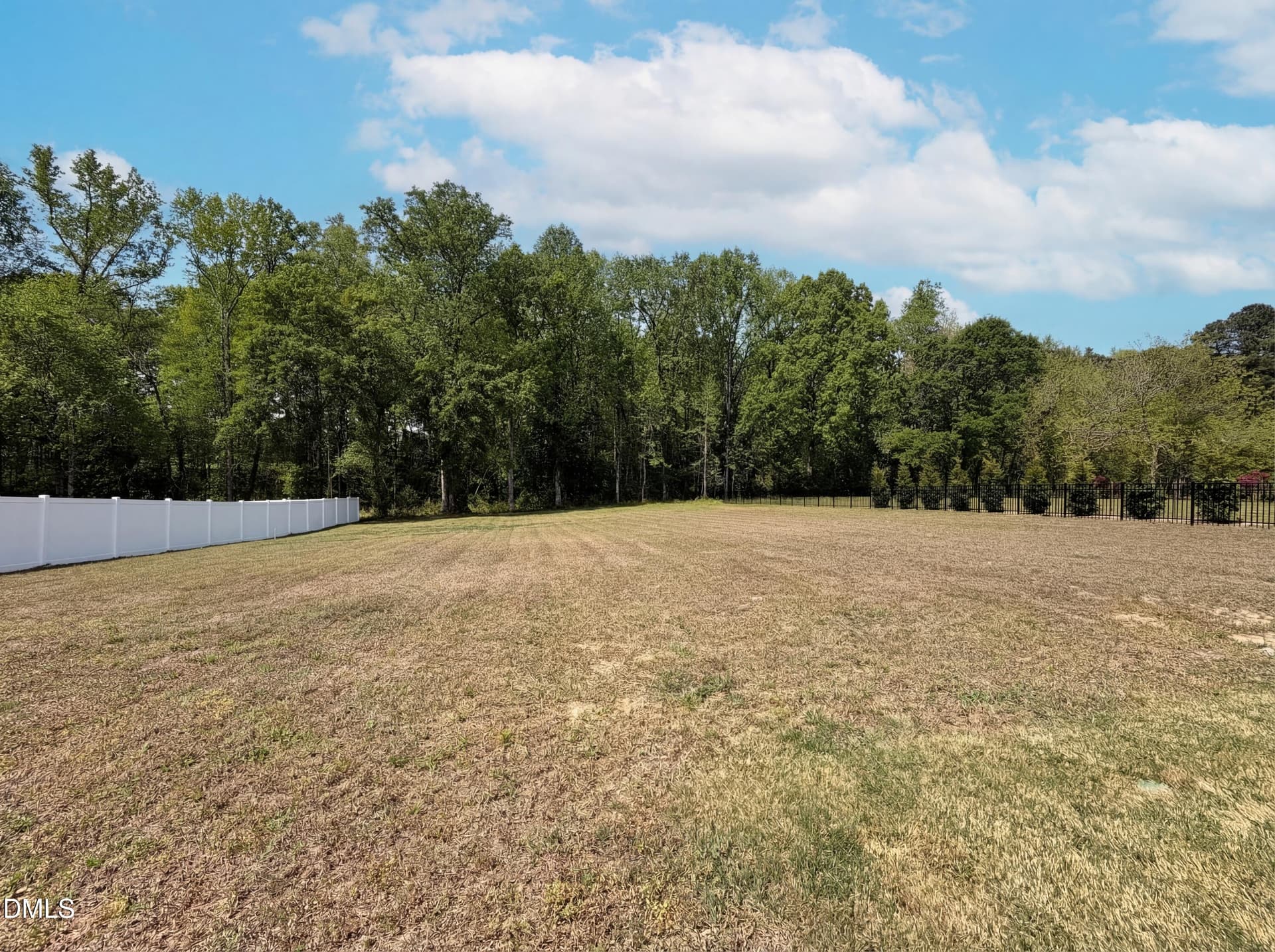 listing_18 - 1717 Willow Landing Way, Willow Springs, NC 27592