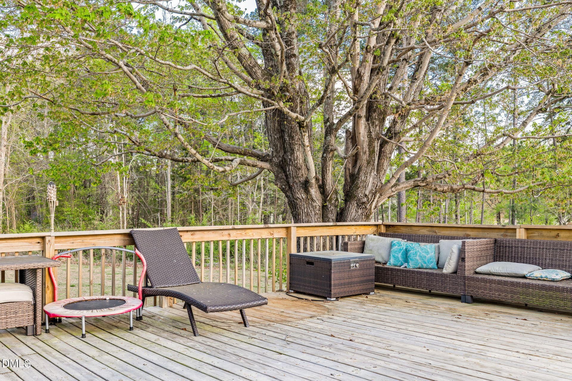 Back Deck - 2732 Nutbush Road, Henderson, NC 27537