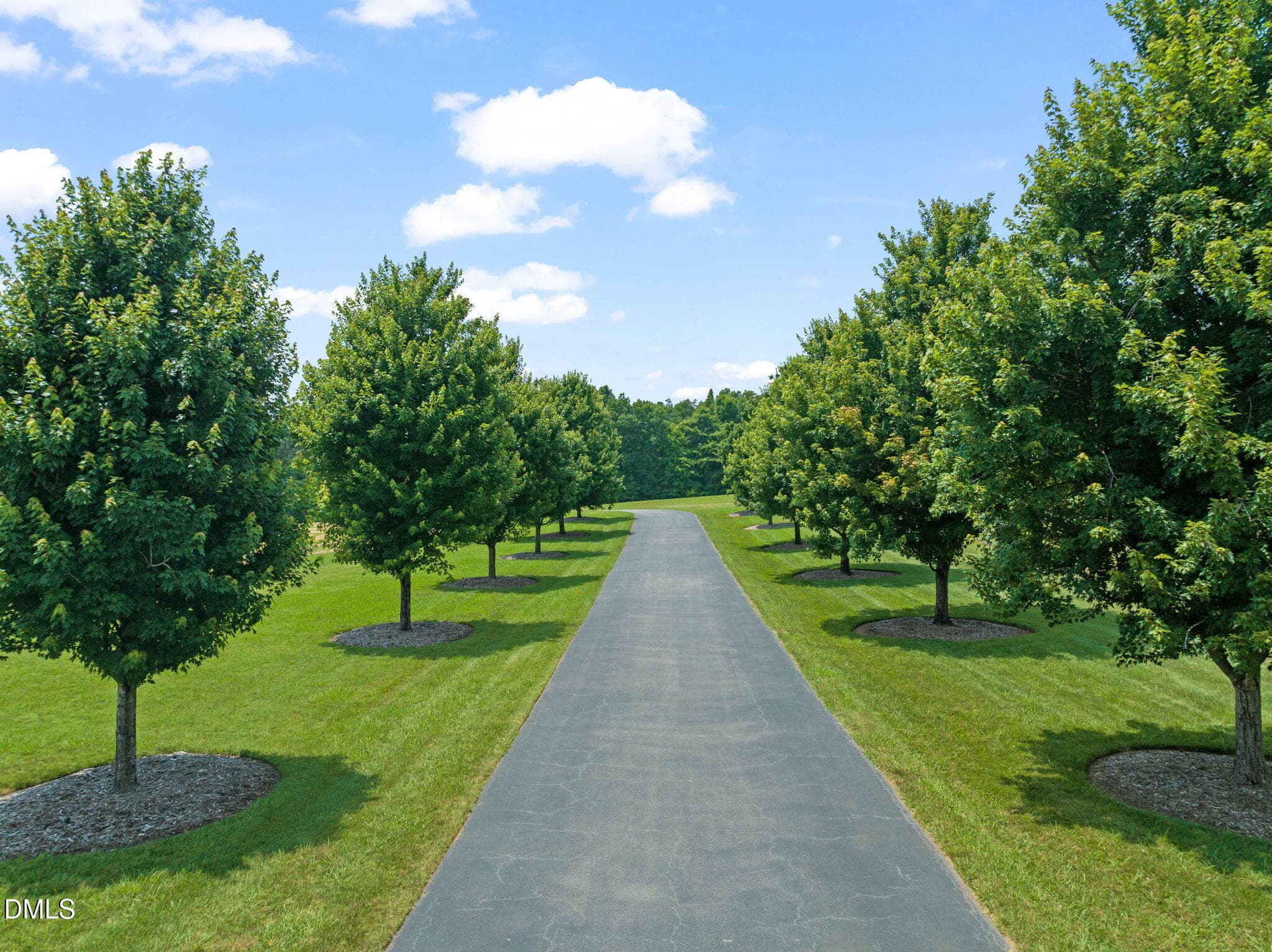 21-web-or-mls-untitled-25 - 7505 New Sharon Church Road, Rougemont, NC 27572