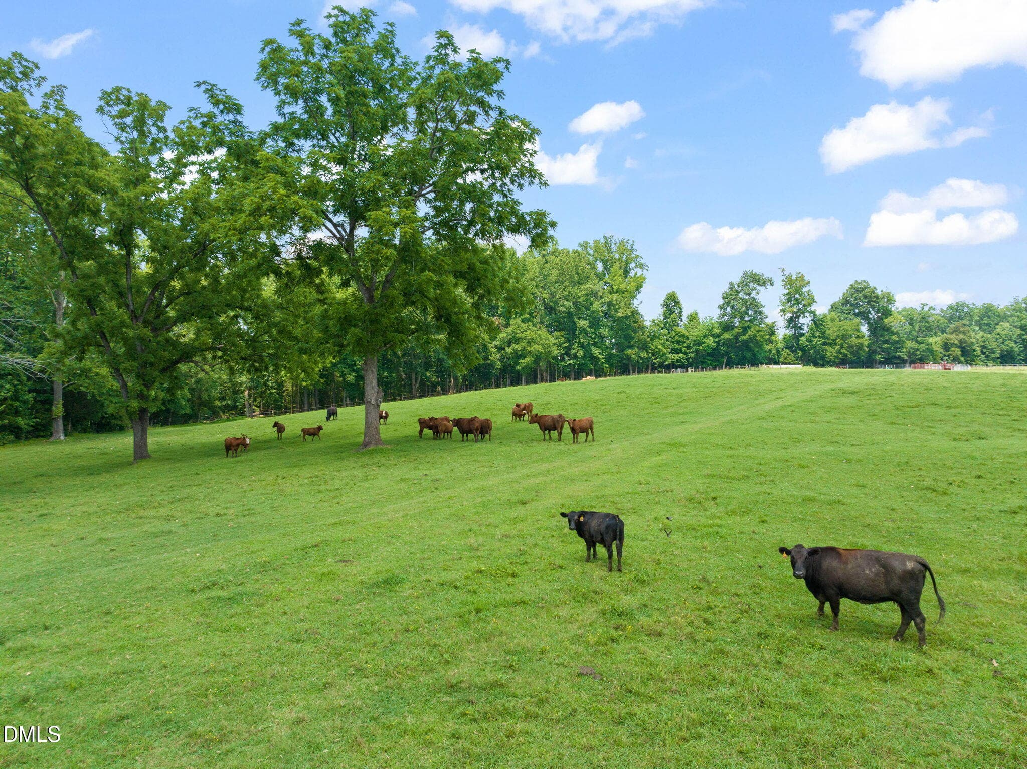 46-web-or-mls-untitled-39 - 7505 New Sharon Church Road, Rougemont, NC 27572
