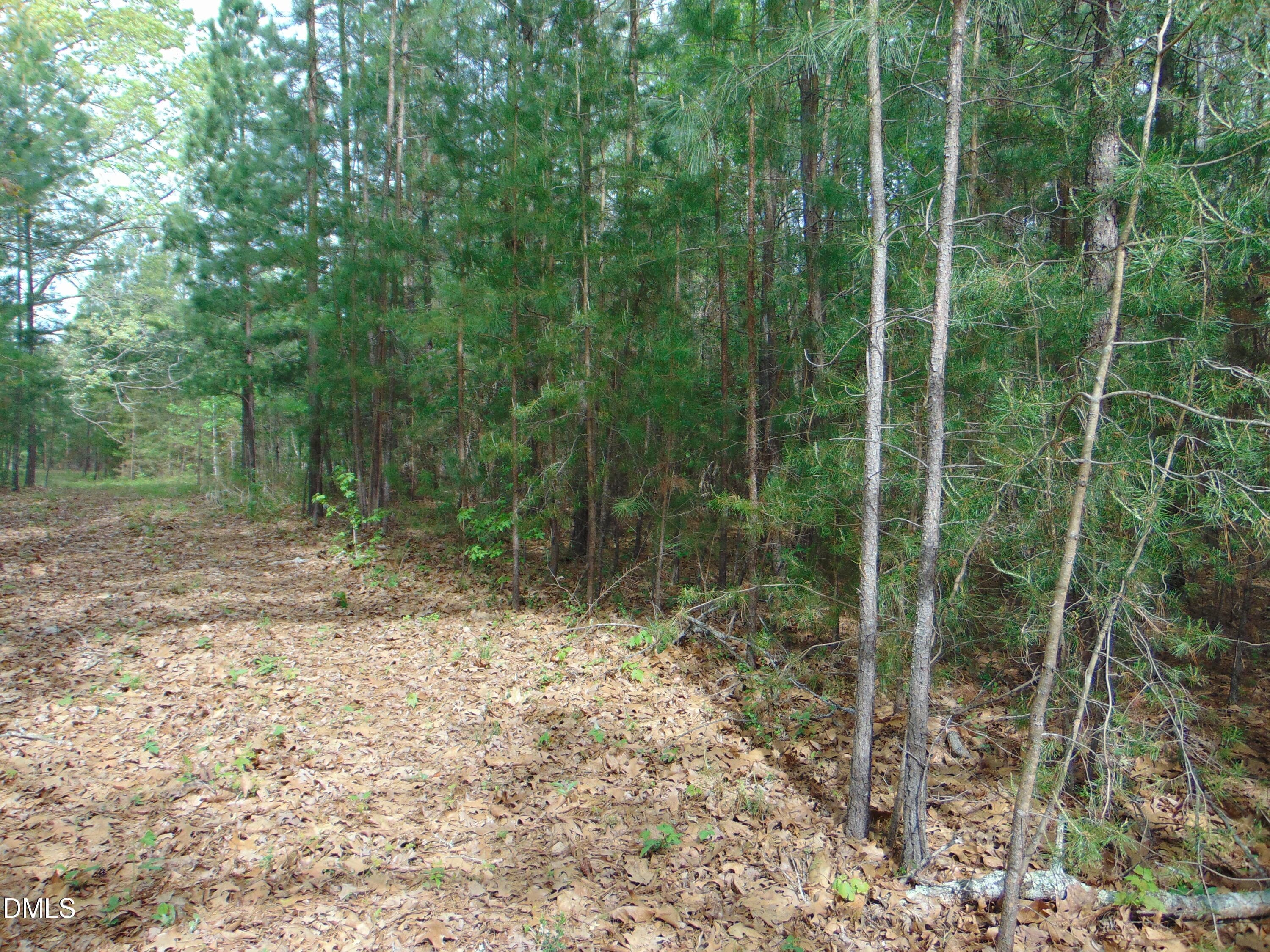 DSC01557 - 5 Park Springs Road, Providence, NC 27315