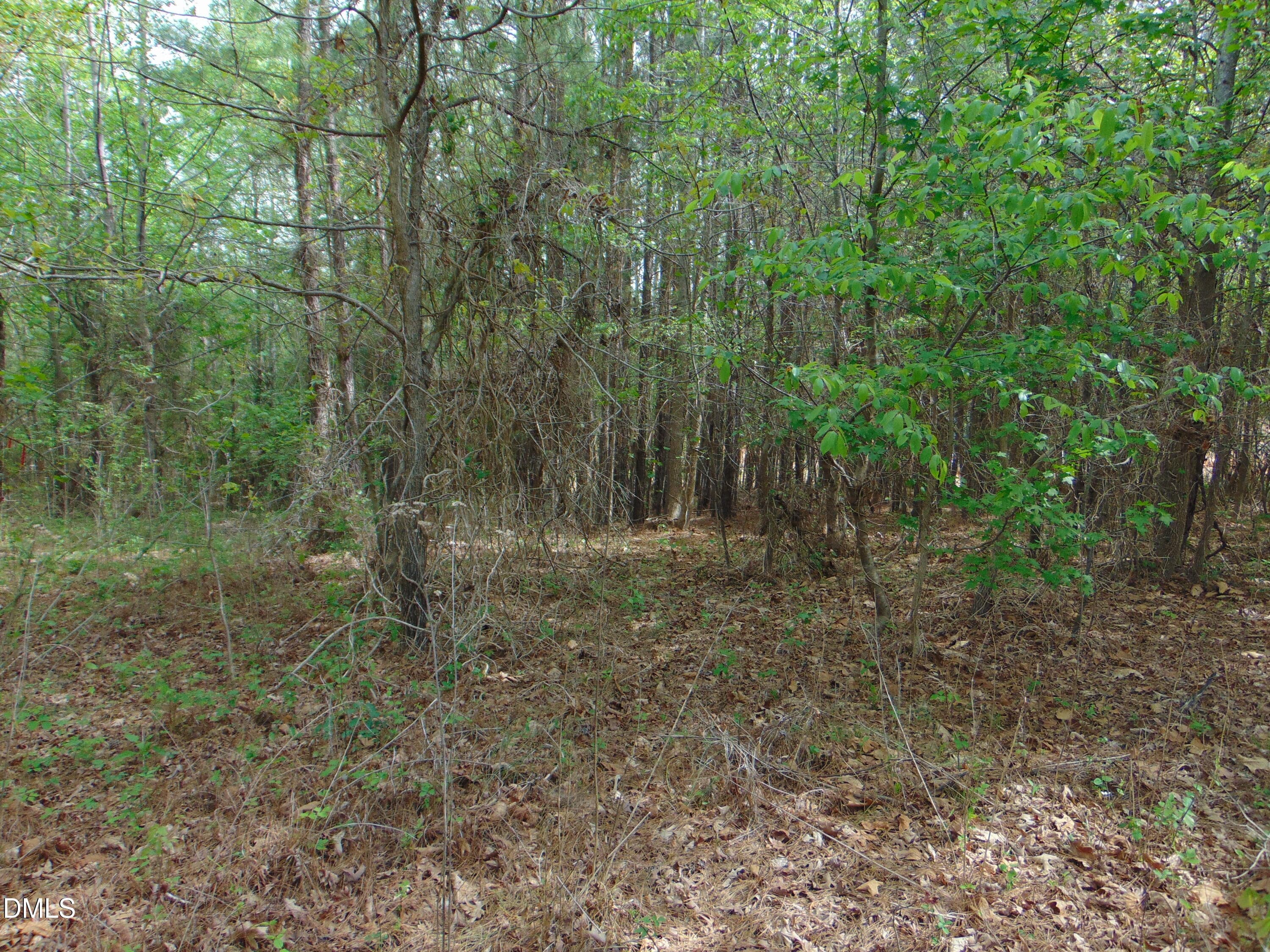 DSC01558 - 5 Park Springs Road, Providence, NC 27315