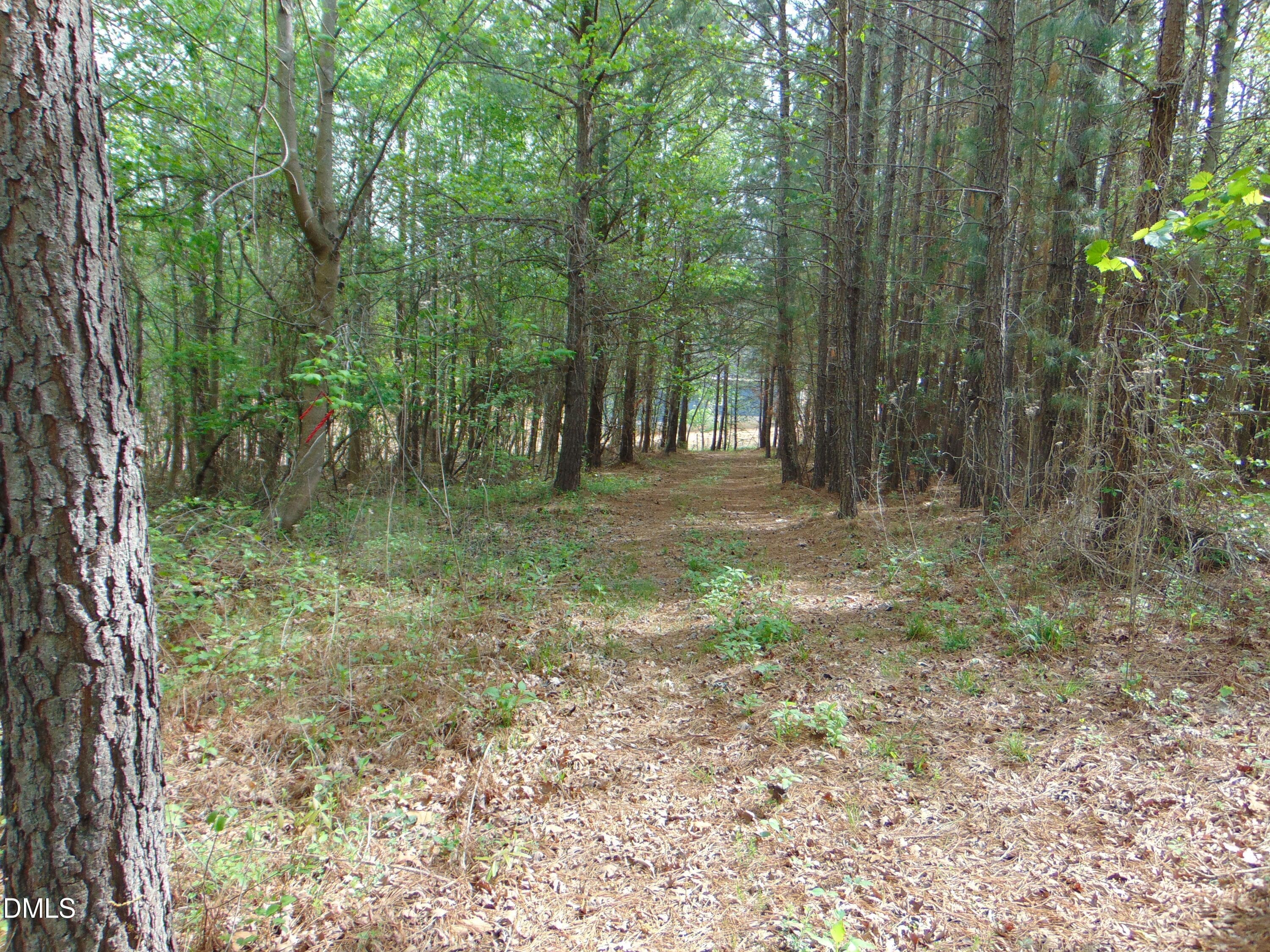 DSC01559 - 5 Park Springs Road, Providence, NC 27315