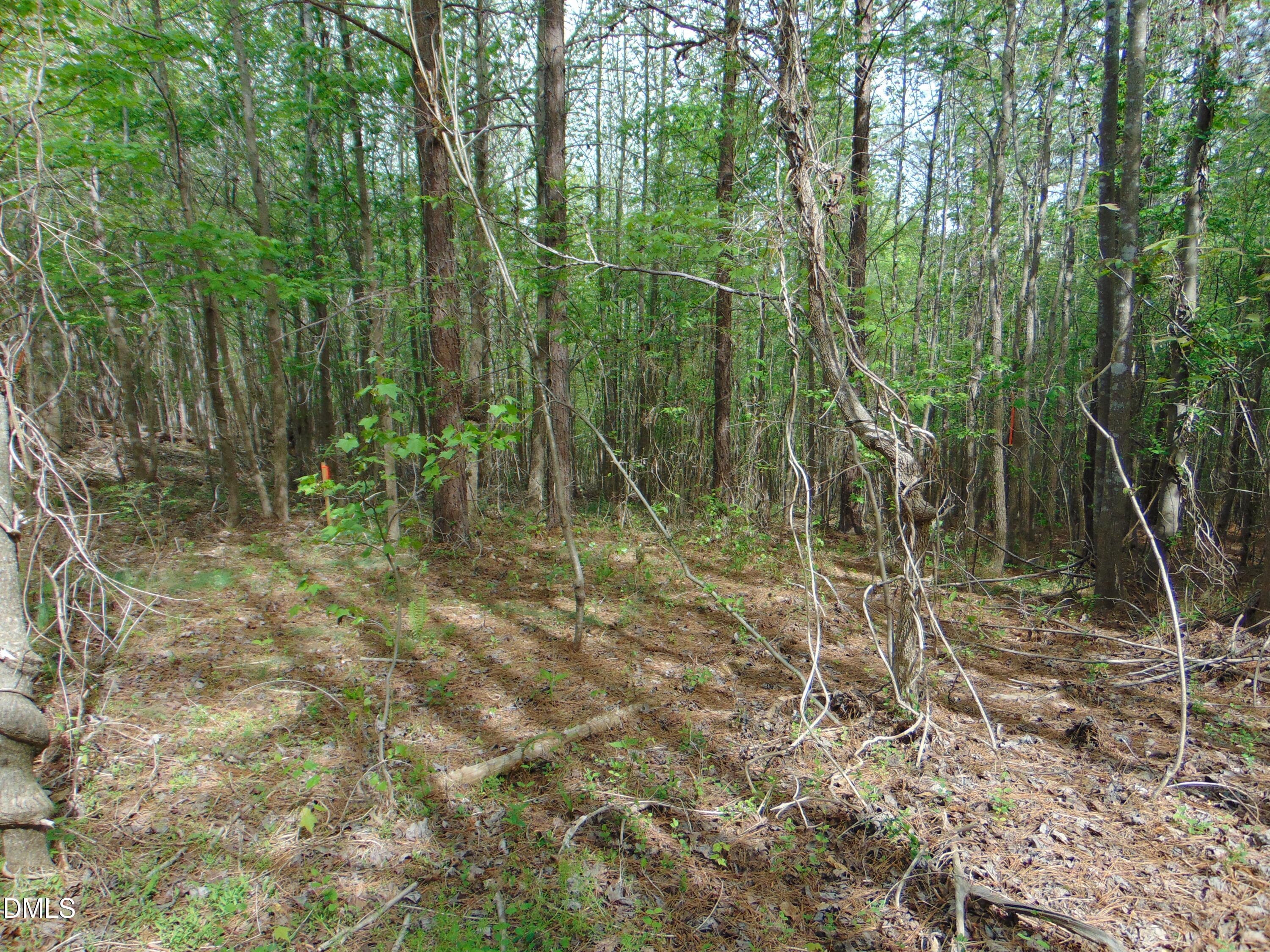 DSC01560 - 5 Park Springs Road, Providence, NC 27315