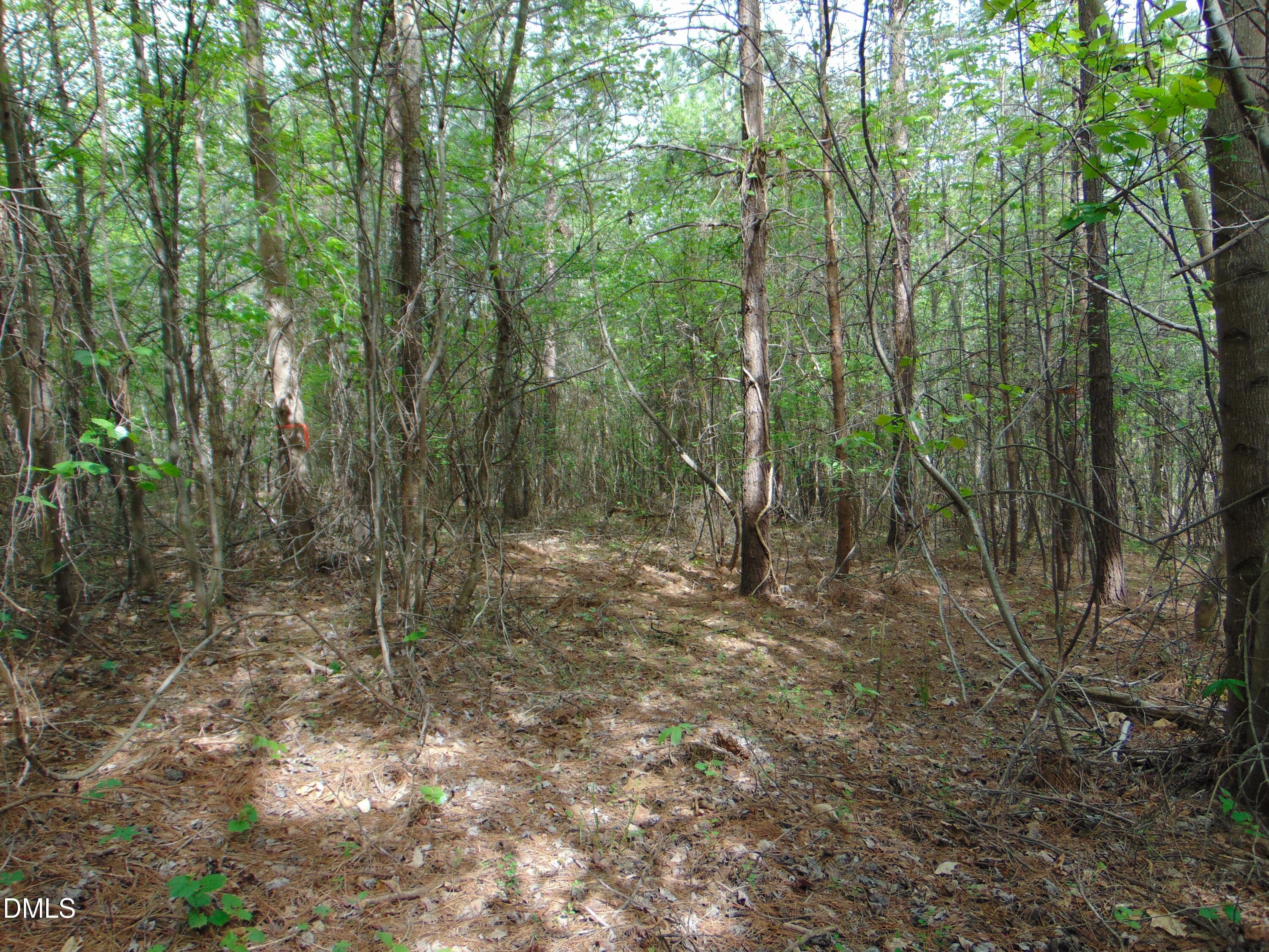 DSC01562 - 5 Park Springs Road, Providence, NC 27315