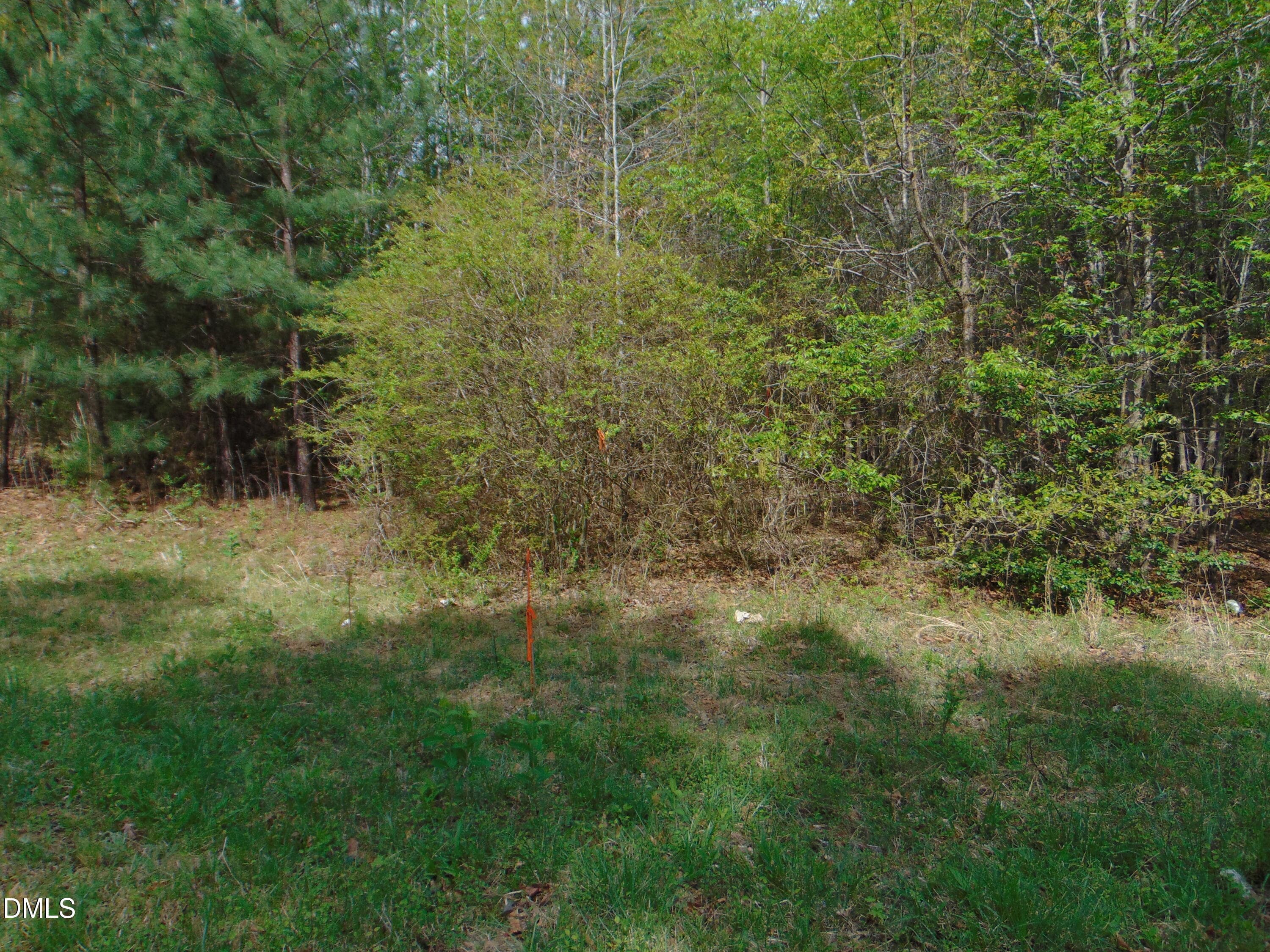 DSC01563 - 5 Park Springs Road, Providence, NC 27315