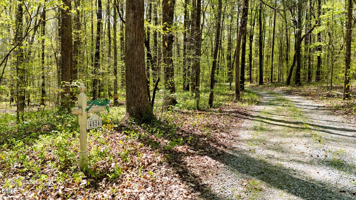 Driveway Entrance - 4524 Ridge Trail, Efland, NC 27243, Efland