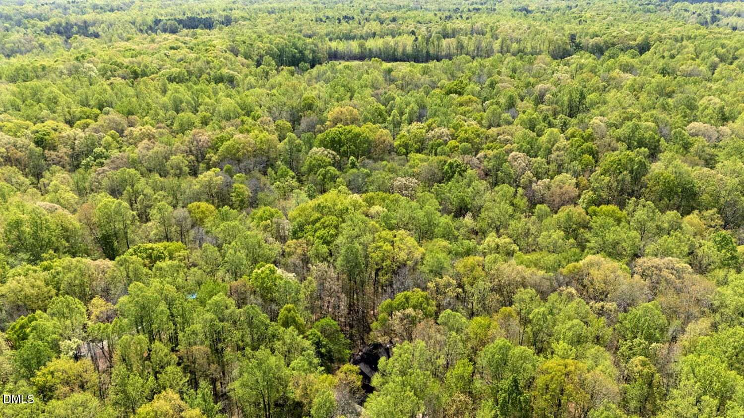 Ridge Trail - 4524 Ridge Trail, Efland, NC 27243, Efland