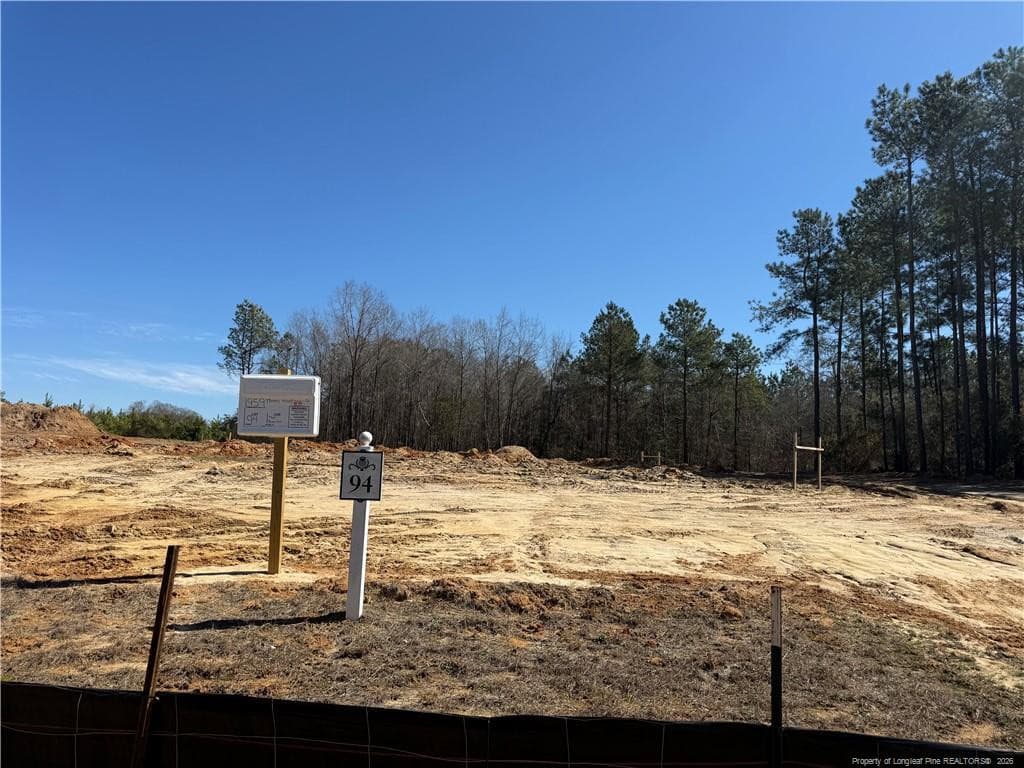 Photo 3 - 1959 Thomas Wood (Lot 94) Drive, Fayetteville, NC 28306, Fayetteville