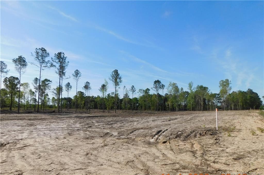 Photo 1 - Lot 9 Sand Rock Road, Fairmont, NC 28340