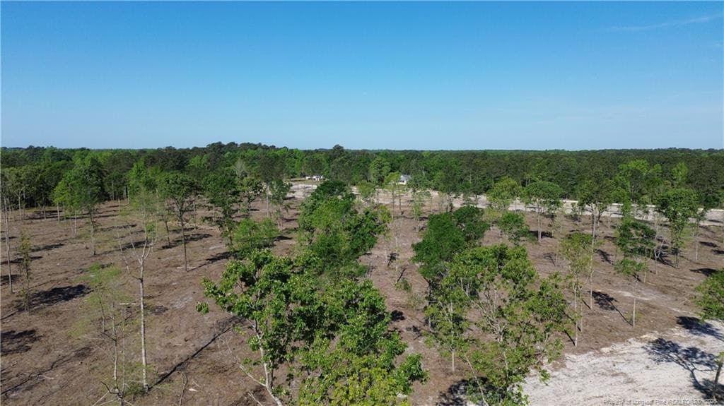 Photo 5 - Lot 7 Sand Rock Road, Fairmont, NC 28340