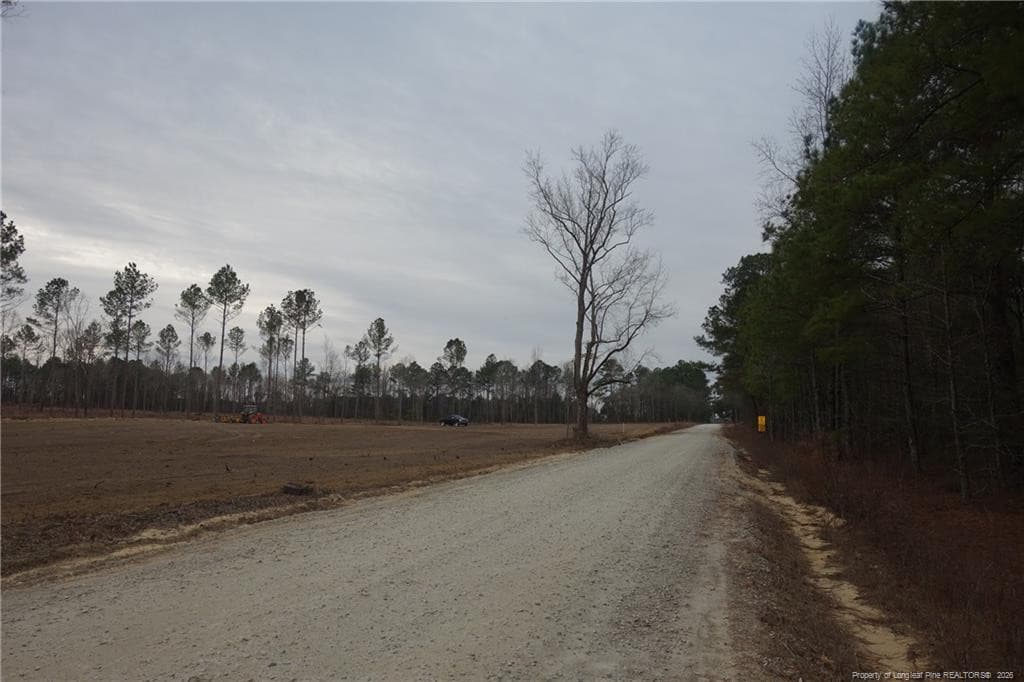 Photo 3 - Lot 12 Sand Rock Road, Fairmont, NC 28340