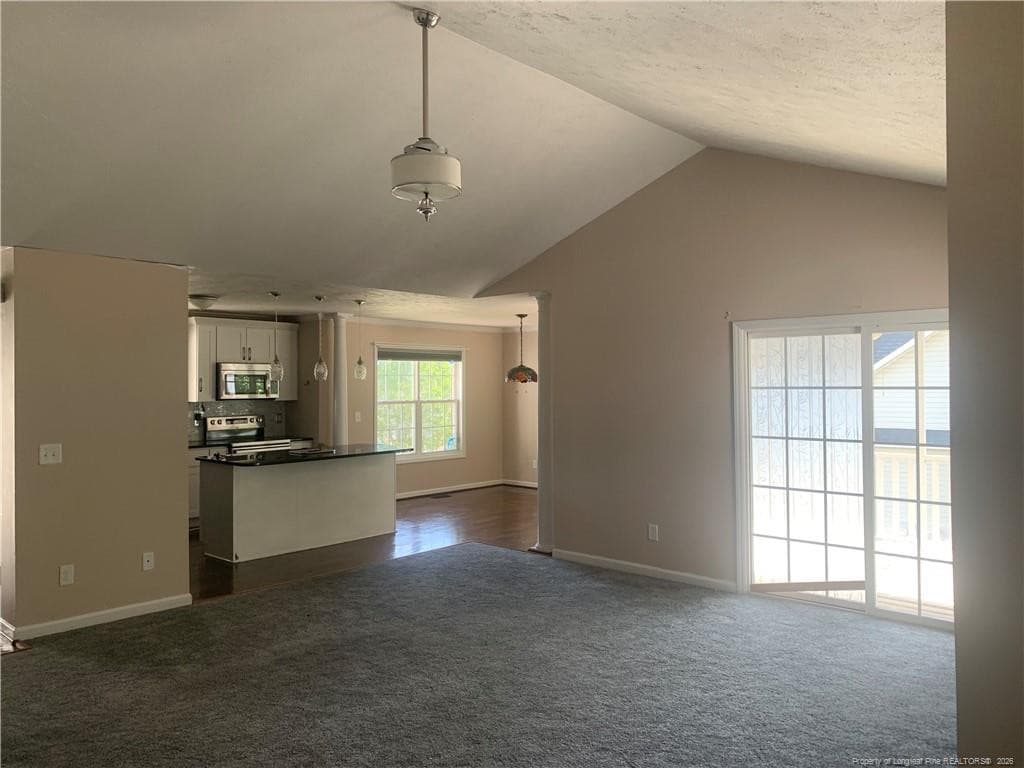 Photo 20 - 48 Arlington Drive, Cameron, NC 28326
