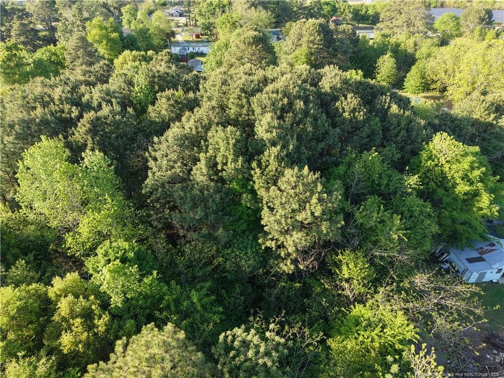 Photo 4 - Amaziahs Farm Road, Maxton, NC 28364