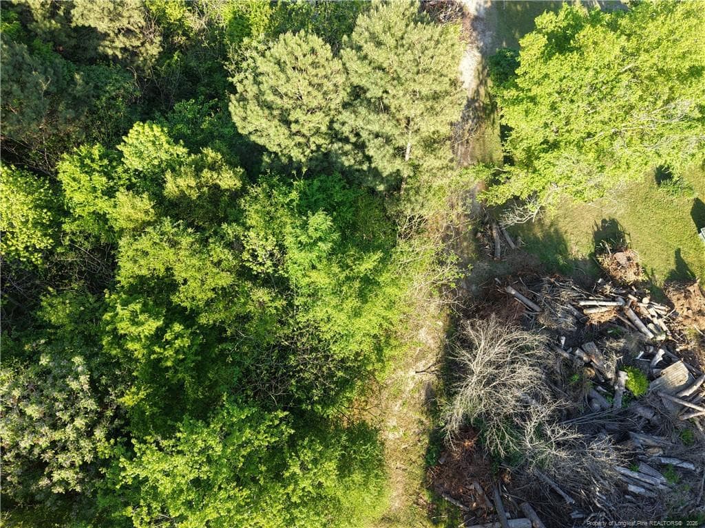 Photo 7 - Amaziahs Farm Road, Maxton, NC 28364