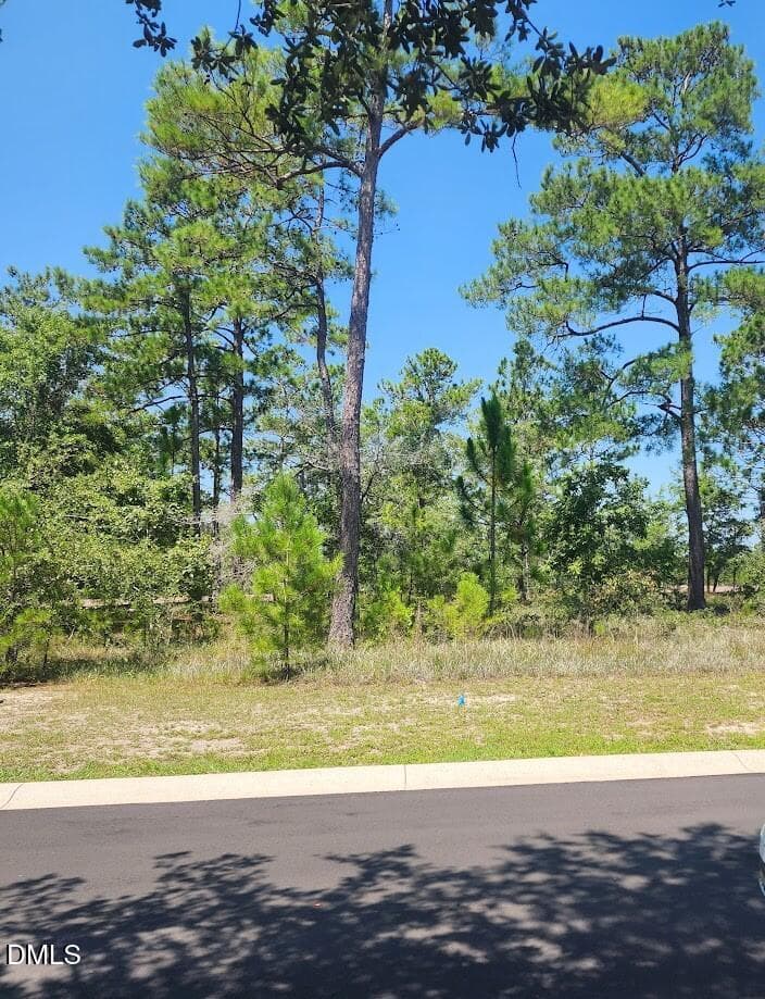 551 - 551 Glitter Bay Court, Shallotte, NC 28470