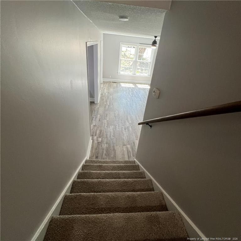 Photo 23 - 2006 Shiloh Drive, Fayetteville, NC 28304, Fayetteville