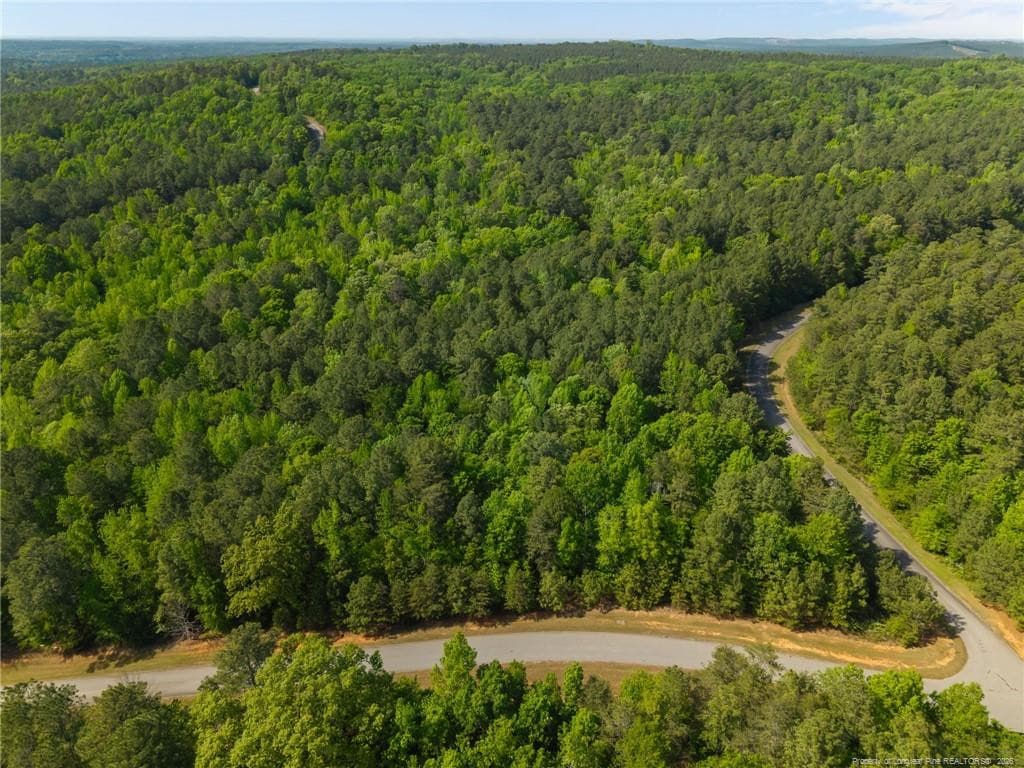 Photo 5 - 125 Lennox Loop, Rockingham, NC 28379