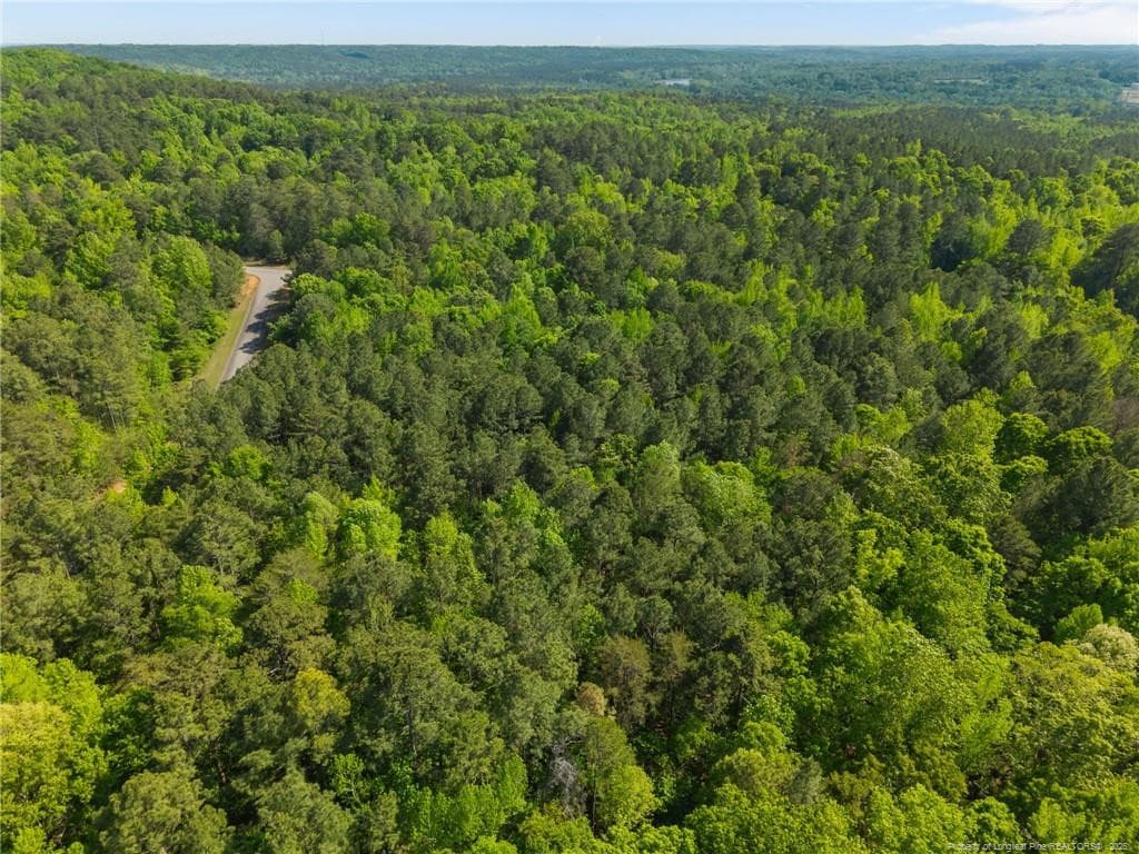 Photo 10 - 125 Lennox Loop, Rockingham, NC 28379