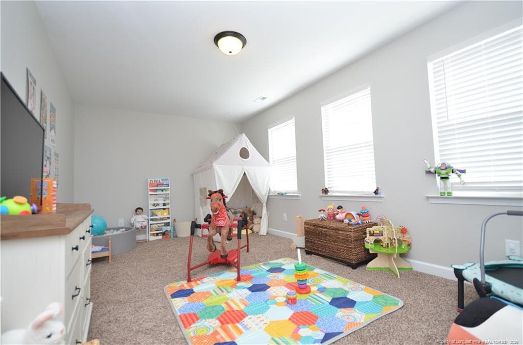 Photo 26 - 82 Folly Court, Linden, NC 28356