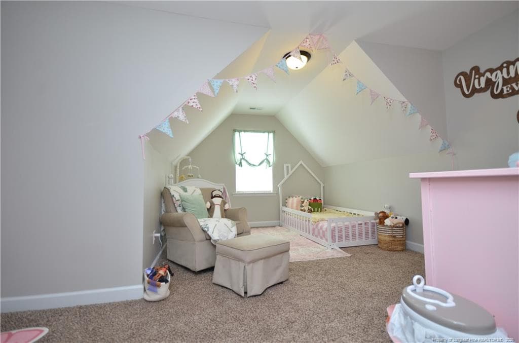 Photo 29 - 82 Folly Court, Linden, NC 28356