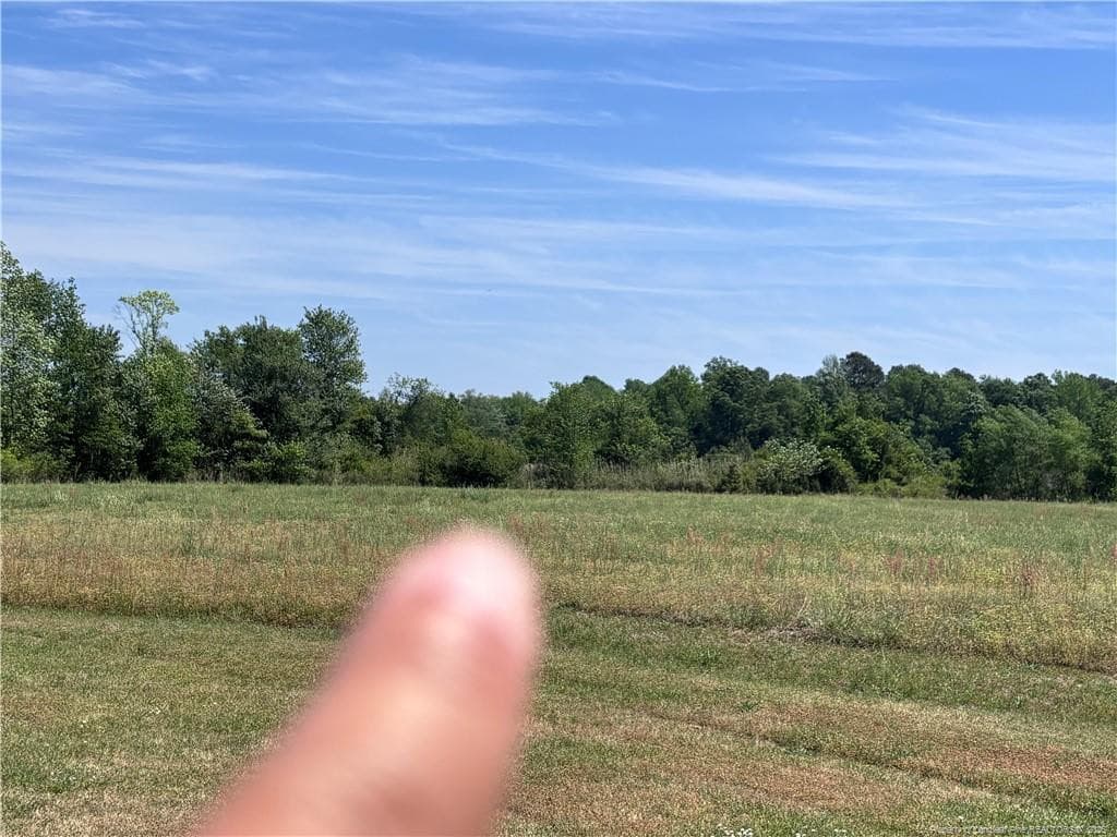 Photo 7 - Backswamp Road, Lumberton, NC 28358