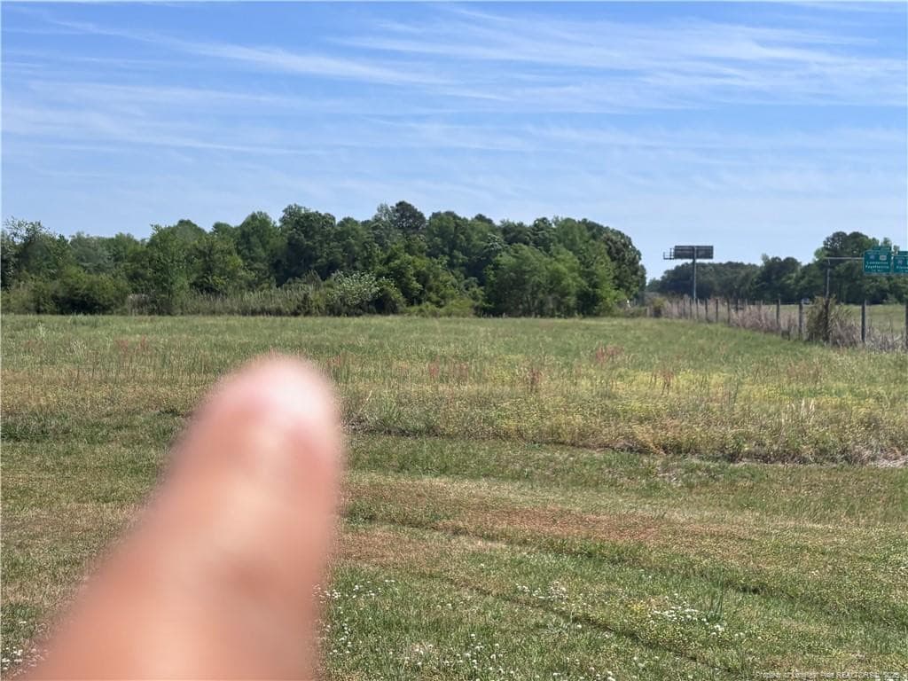 Photo 8 - Backswamp Road, Lumberton, NC 28358