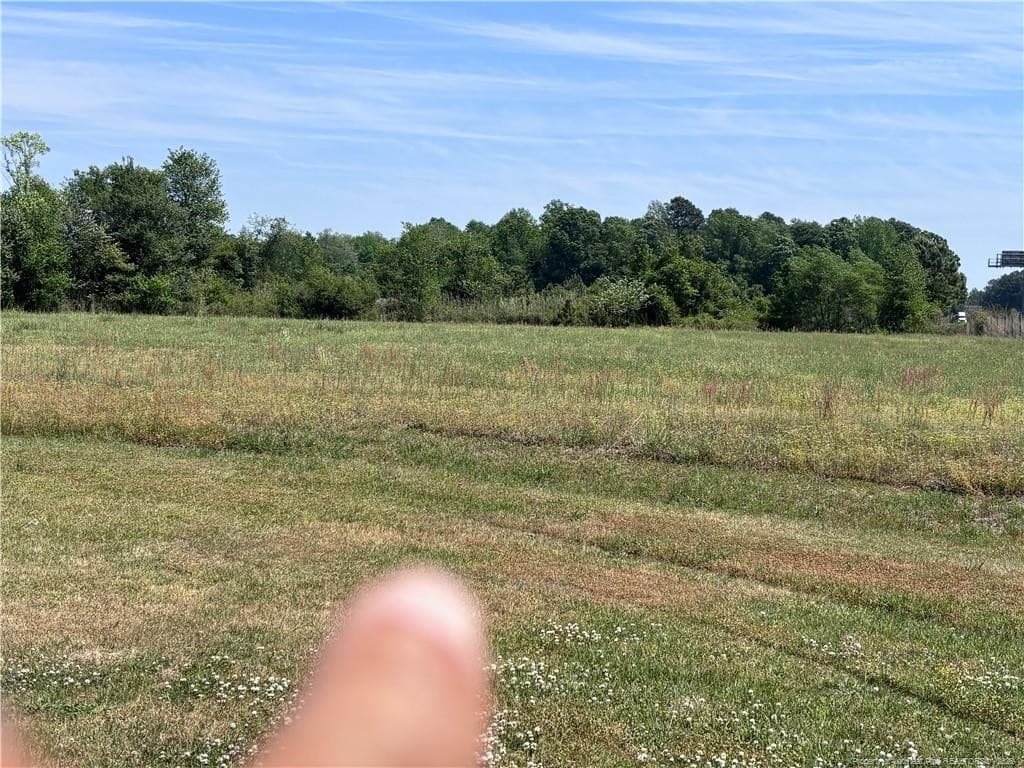Photo 9 - Backswamp Road, Lumberton, NC 28358