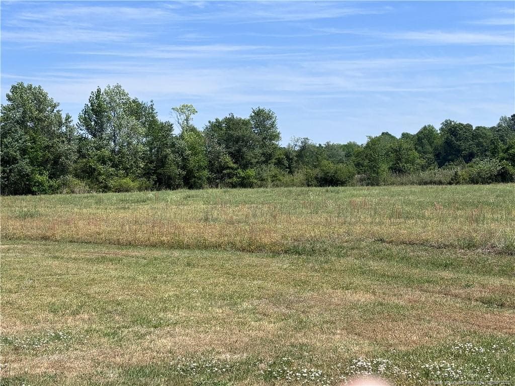 Photo 10 - Backswamp Road, Lumberton, NC 28358
