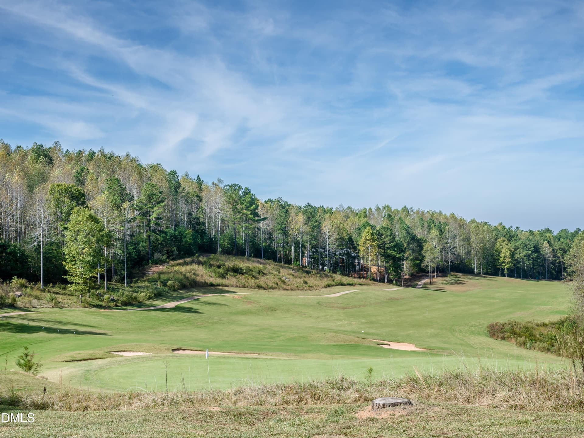 11-ChapelRidge-20171021 - 64 Mist Wood Court, Pittsboro, NC 27312