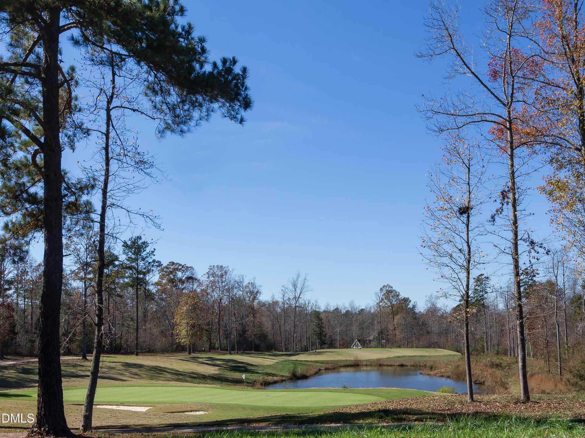 67-ChapelRidge-20151111 - 64 Mist Wood Court, Pittsboro, NC 27312