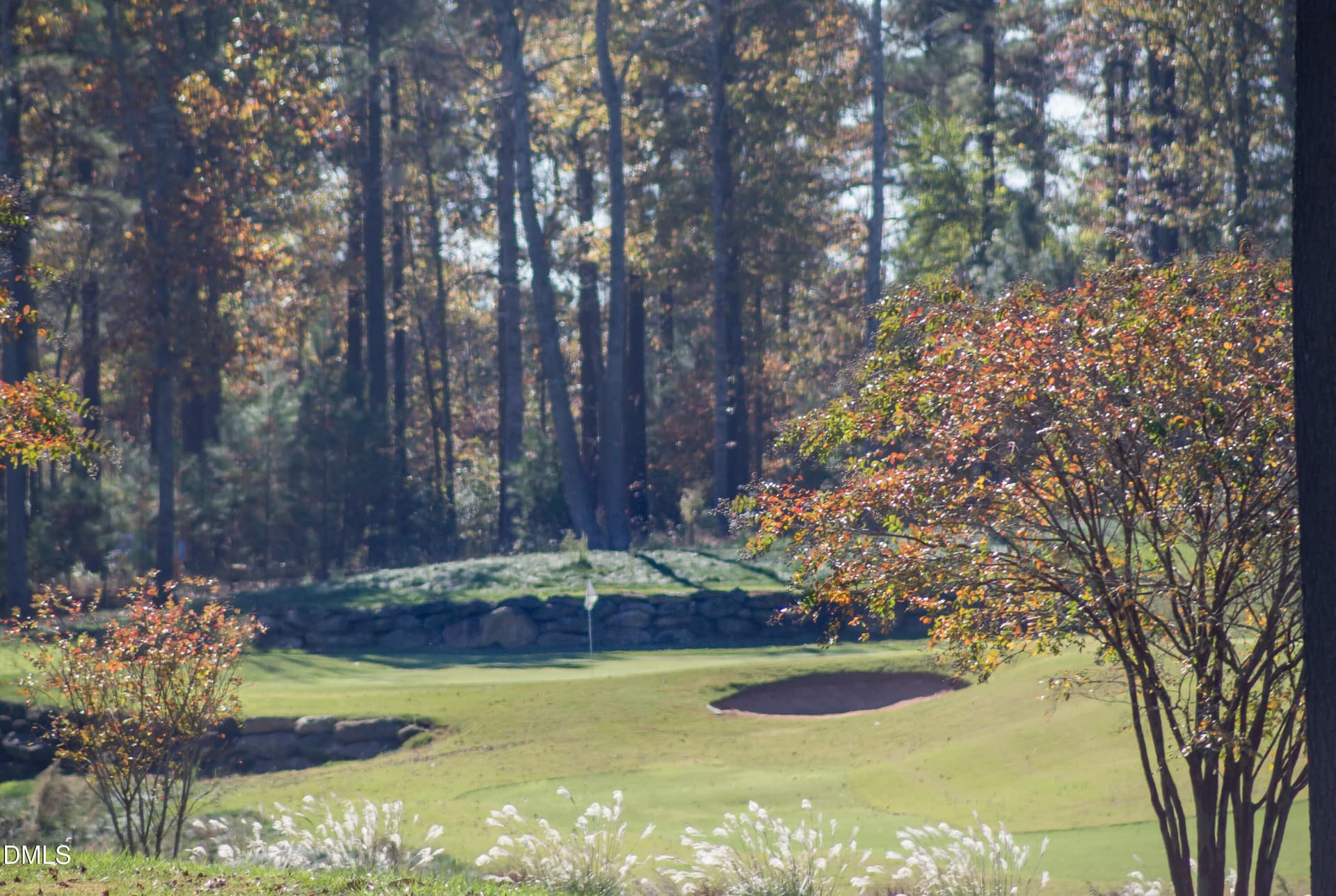 68-ChapelRidge-20151111 - 64 Mist Wood Court, Pittsboro, NC 27312