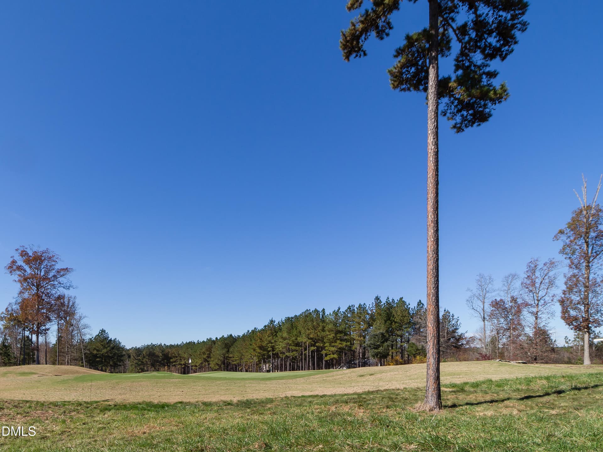 69-ChapelRidge-20151111 - 64 Mist Wood Court, Pittsboro, NC 27312