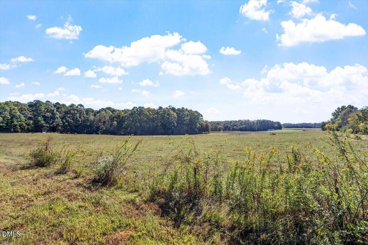 Pretty Meadows - 5956 Whitlow Johnson Lane, Mebane, NC 27302