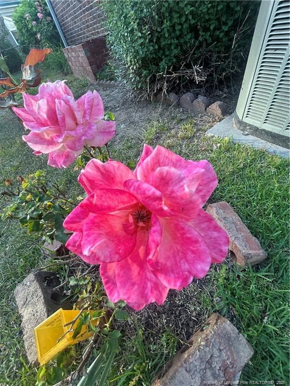 Photo 24 - 4413 Chesterbrook Drive, Fayetteville, NC 28314, Fayetteville