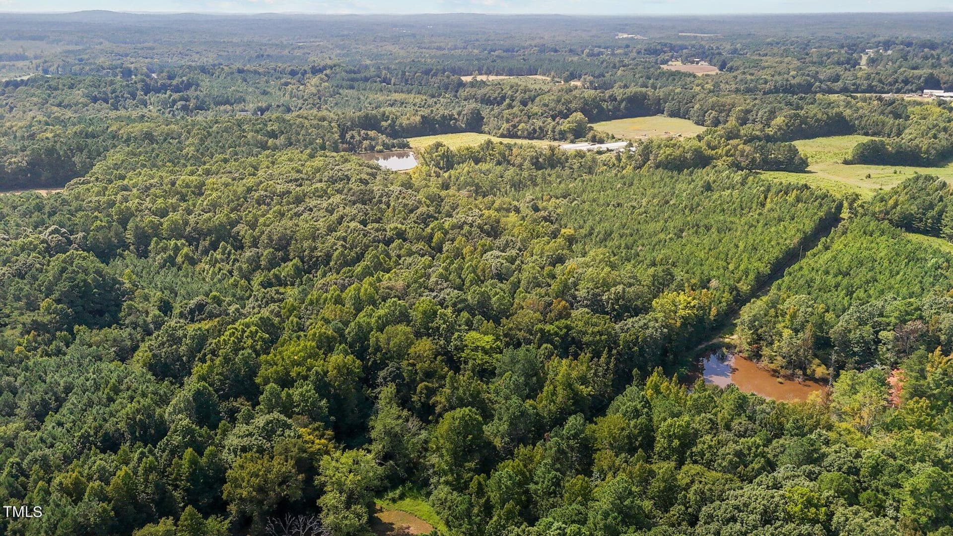 4-web-or-mls-DJI_20240826152353_0795_D - Tract 2b Watkins Road, Oxford, NC 27565