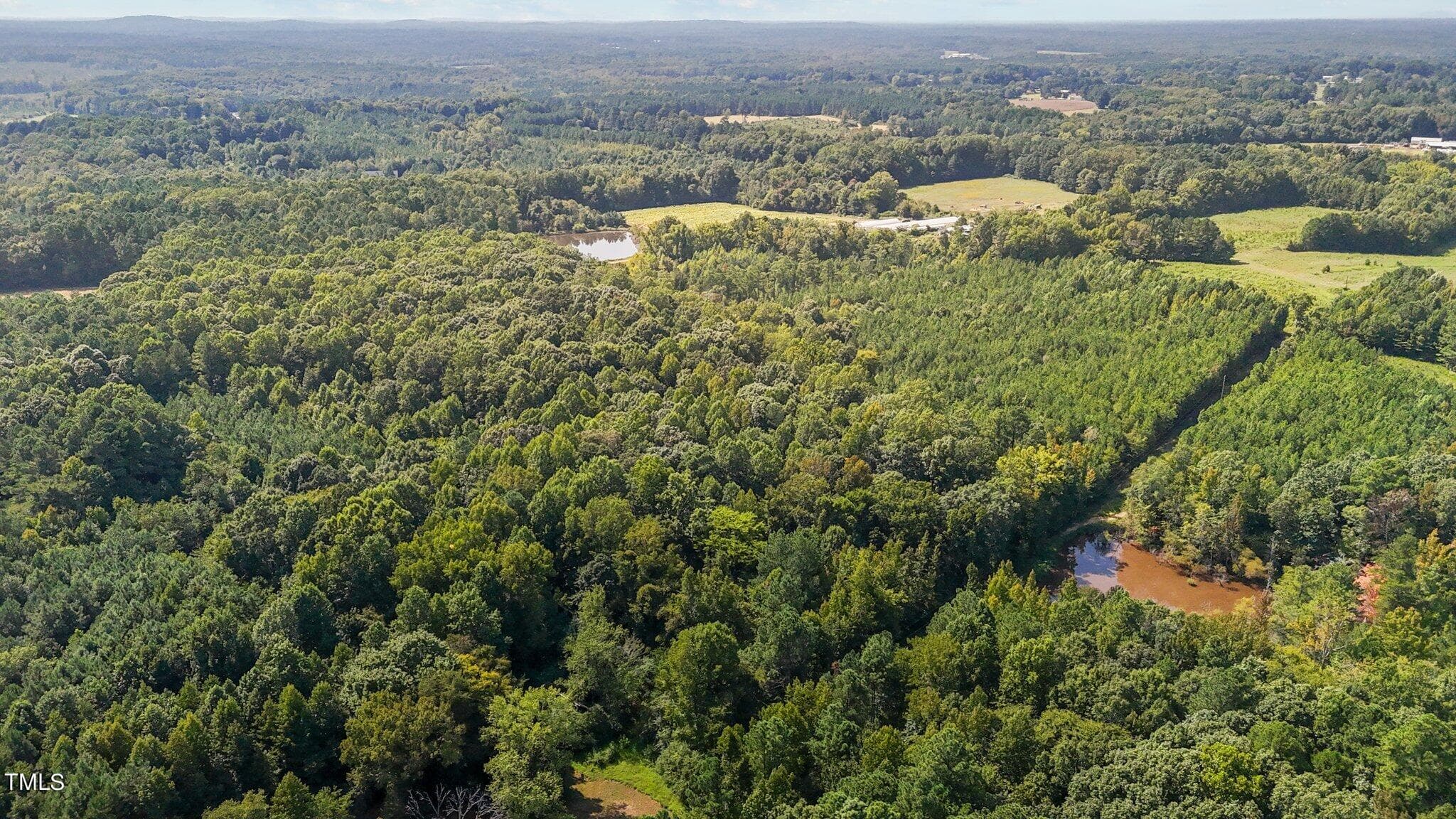 4-web-or-mls-DJI_20240826152353_0795_D - Tract 2b Watkins Road, Oxford, NC 27565