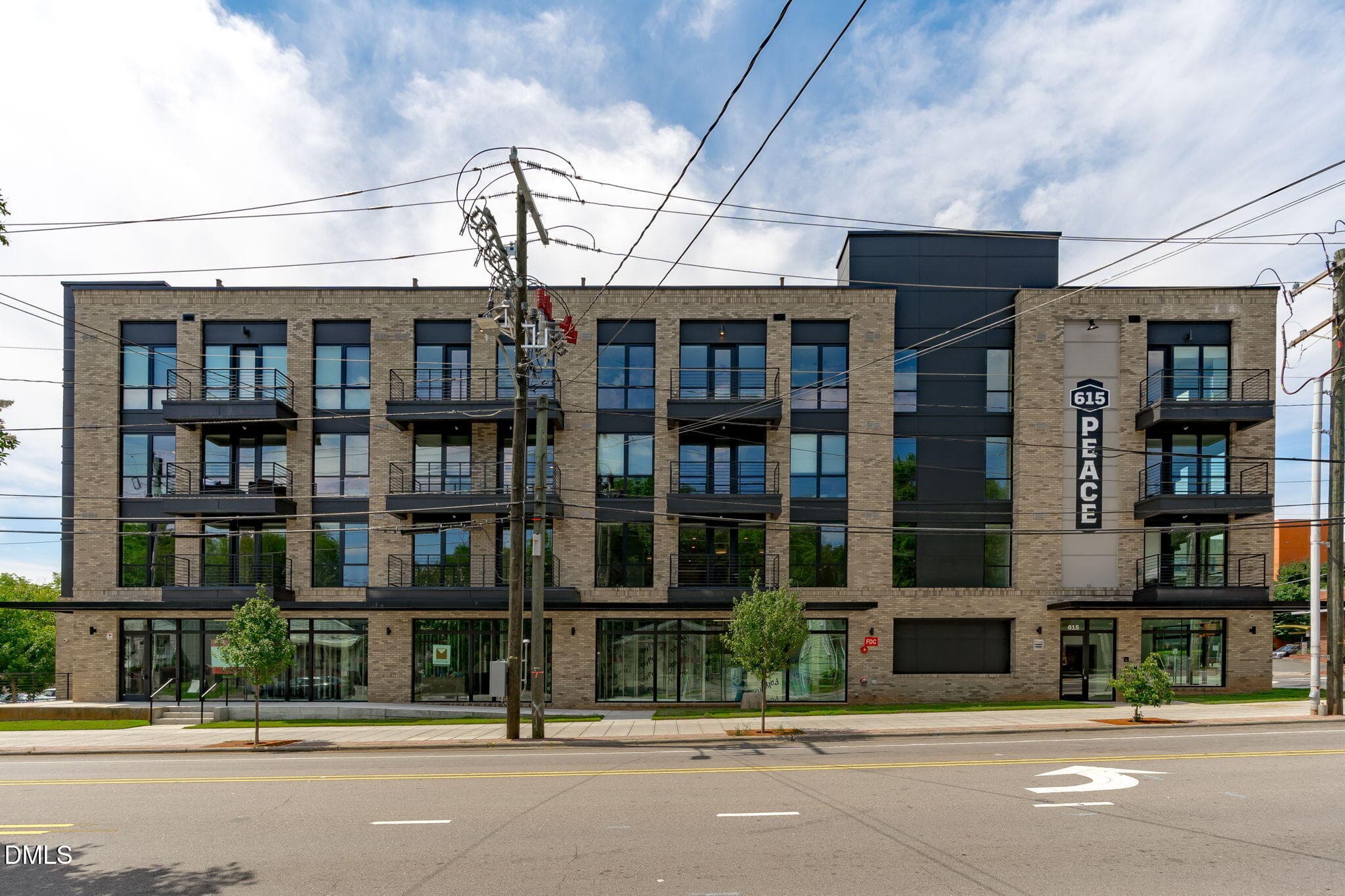 615_3 or 2 - 615 W Peace Street , 207, Raleigh, NC 27605, Raleigh